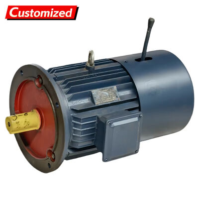 سعر جيد Explosion-Proof Variable Frequency Drive Motor with Braking Function and IP55 Protection for Industrial Applications الانترنت